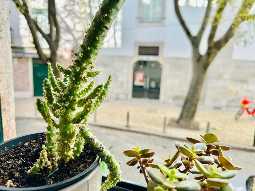 瓦拉达思多玛奎斯公寓 Lisboa 外观 照片
